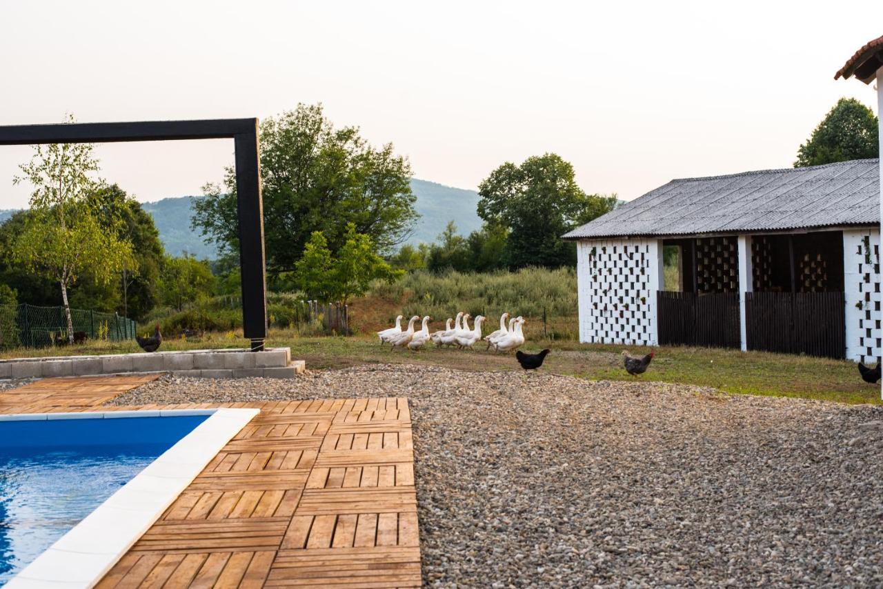 Skriveni Raj Guest House Gornji Milanovac Luaran gambar