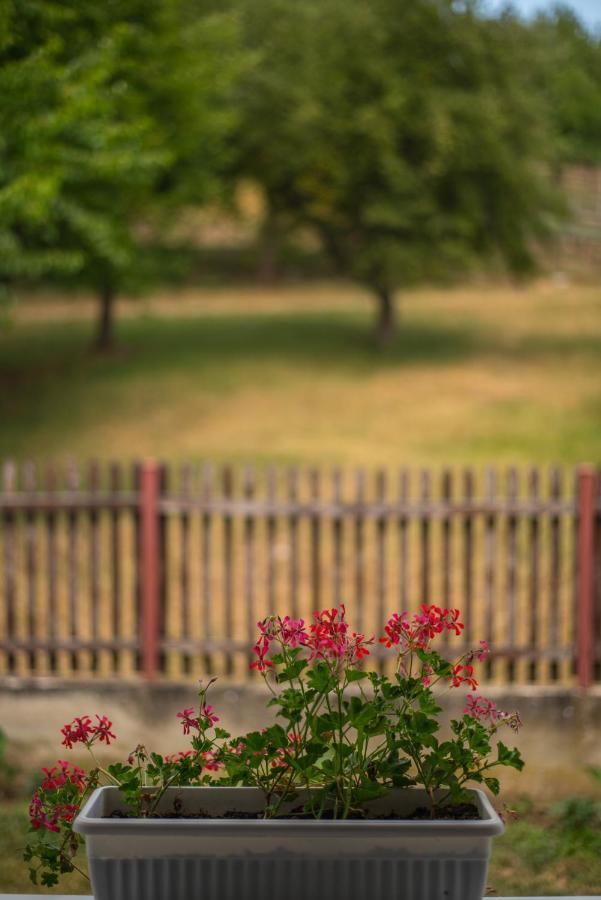 Skriveni Raj Guest House Gornji Milanovac Luaran gambar