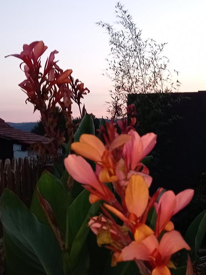 Skriveni Raj Guest House Gornji Milanovac Luaran gambar